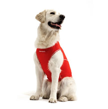 Load image into Gallery viewer, EzyDog Dog Rashies (UV Protectors)