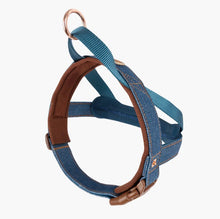 Load image into Gallery viewer, EzyDog Quick Fit Harness Large