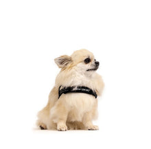Load image into Gallery viewer, EzyDog Quick Fit Harness Large