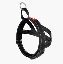 Load image into Gallery viewer, EzyDog Quick Fit Harness Large