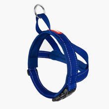 Load image into Gallery viewer, EzyDog Quick Fit Harness Small