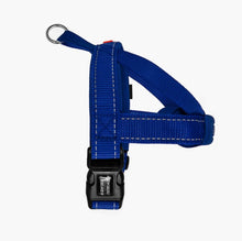 Load image into Gallery viewer, EzyDog Quick Fit Harness Large