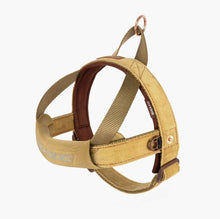 Load image into Gallery viewer, EzyDog Quick Fit Harness Small