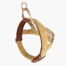 Load image into Gallery viewer, EzyDog Quick Fit Harness Large