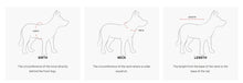 Load image into Gallery viewer, EzyDog Quick Fit Harness Large