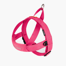 Load image into Gallery viewer, EzyDog Quick Fit Harness Small