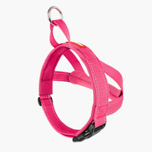 Load image into Gallery viewer, EzyDog Quick Fit Harness Small