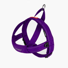 Load image into Gallery viewer, EzyDog Quick Fit Harness Large