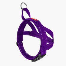 Load image into Gallery viewer, EzyDog Quick Fit Harness Large