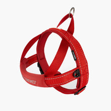 Load image into Gallery viewer, EzyDog Quick Fit Harness Large