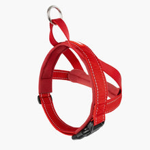 Load image into Gallery viewer, EzyDog Quick Fit Harness Large