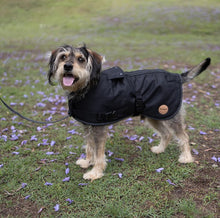 Load image into Gallery viewer, Kazoo Adventure Dog Coat (With Hatch) - Black