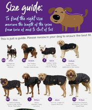Load image into Gallery viewer, Kazoo Pink Petal Dog Jacket