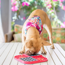 Load image into Gallery viewer, LickiMat Slomo for Dogs