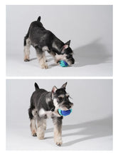 Load image into Gallery viewer, PAWZCITY Interactive Rope Ball