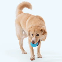 Load image into Gallery viewer, West Paw Jive Tough Ball