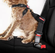 Load image into Gallery viewer, EzyDog Chest Plate Harness Extra Small