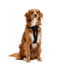 Load image into Gallery viewer, EzyDog Chest Plate Harness Extra Small