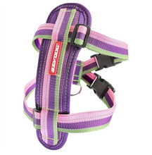 Load image into Gallery viewer, EzyDog Chest Plate Harness Extra Small