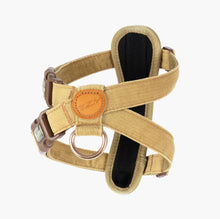 Load image into Gallery viewer, EzyDog Chest Plate Harness Medium