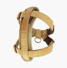 Load image into Gallery viewer, EzyDog Chest Plate Harness Medium