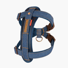 Load image into Gallery viewer, EzyDog Chest Plate Harness Medium