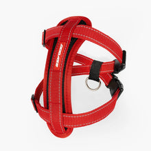 Load image into Gallery viewer, EzyDog Chest Plate Harness Medium