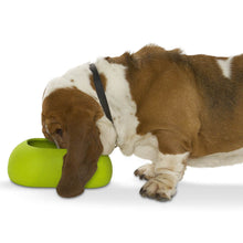 Load image into Gallery viewer, BUSTER IncrediBowl for Long Eared Dogs