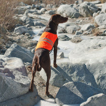 Load image into Gallery viewer, Zippy Paws Safety & Cooling Vest - Orange