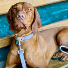 Load image into Gallery viewer, Outback Tails Dog Collar - Vaughan Springs