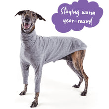 Load image into Gallery viewer, Kazoo Greyhound Softie Jumper