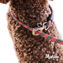 Load image into Gallery viewer, EzyDog Marine Leash & Slip Lead 170 cm