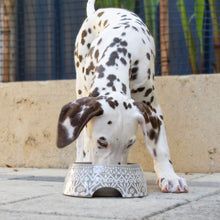 Load image into Gallery viewer, Barkley & Bella Melamine Dog Bowl Medium