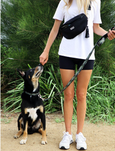 Load image into Gallery viewer, DOOG NEOSPORT Hip Belt