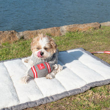 Load image into Gallery viewer, Louie Living Urban Rope Toy