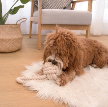 Load image into Gallery viewer, Louie Living Urban Rope Toy