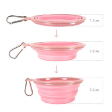 Load image into Gallery viewer, Ibiyaya Quick Bite Travel Pet Bowl