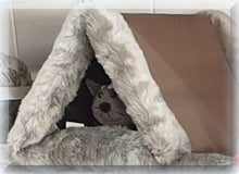 Load image into Gallery viewer, Modern Pets Cat Tunnel Convertible Mat