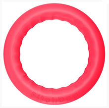 Load image into Gallery viewer, PitchDog - 20cm Ring