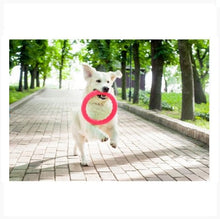 Load image into Gallery viewer, PitchDog - 30cm Ring