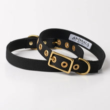 Load image into Gallery viewer, Animals In Charge All Weather Dog Collar
