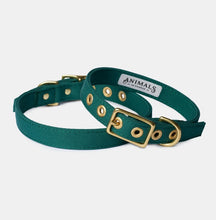 Load image into Gallery viewer, Animals In Charge All Weather Dog Collar
