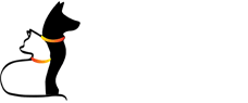 Belvedere&#39;s Pet Supplies