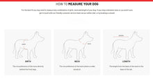 Load image into Gallery viewer, EzyDog Dog Rashies (UV Protectors)
