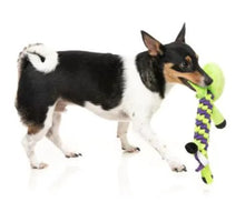 Load image into Gallery viewer, FuzzYard Bone Affleck - Dog Toy
