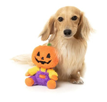 Load image into Gallery viewer, Jack-O Chan - Dog Toy
