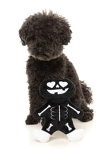 Load image into Gallery viewer, X-Ray Pumpkin - Dog Toy
