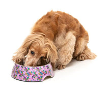 Load image into Gallery viewer, FuzzYard Easy Feeder Bowl - Fiesta
