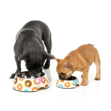 Load image into Gallery viewer, FuzzYard Easy Feeder Bowl - Go Nuts For Donuts
