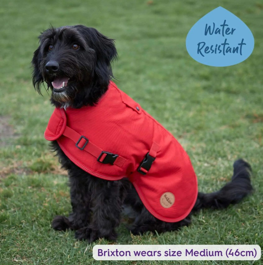 Kazoo Adventure Dog Coat (With Hatch) - Red
